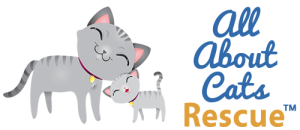 All About Cats Logo