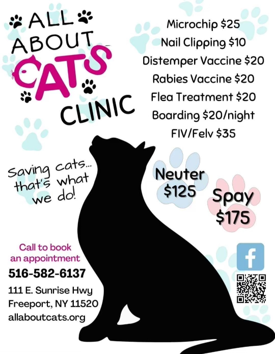 Clinic | All About Cats